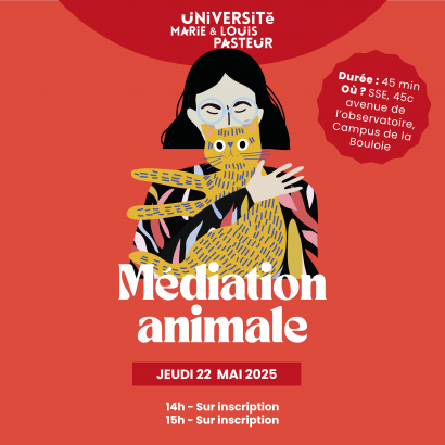 atelier mediation animale