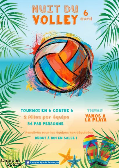 Affiche Nuit du Volley 2017