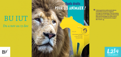 lion et silhouette de félin avec en titre "Quels droits pour les animaux ?"