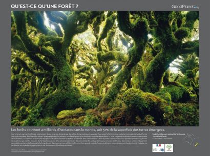 Panneau de l'exposition présentant une forêt