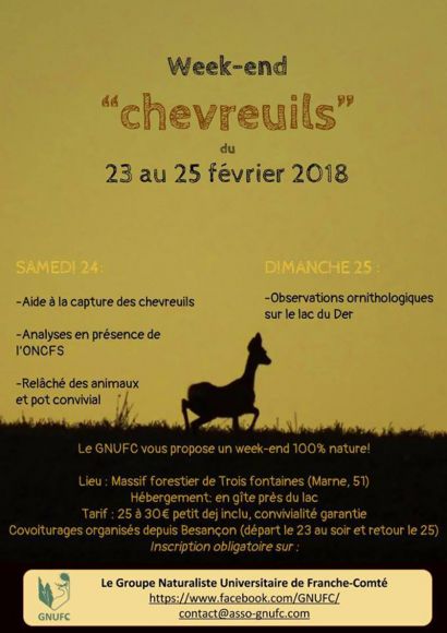 week-end-chevreuils