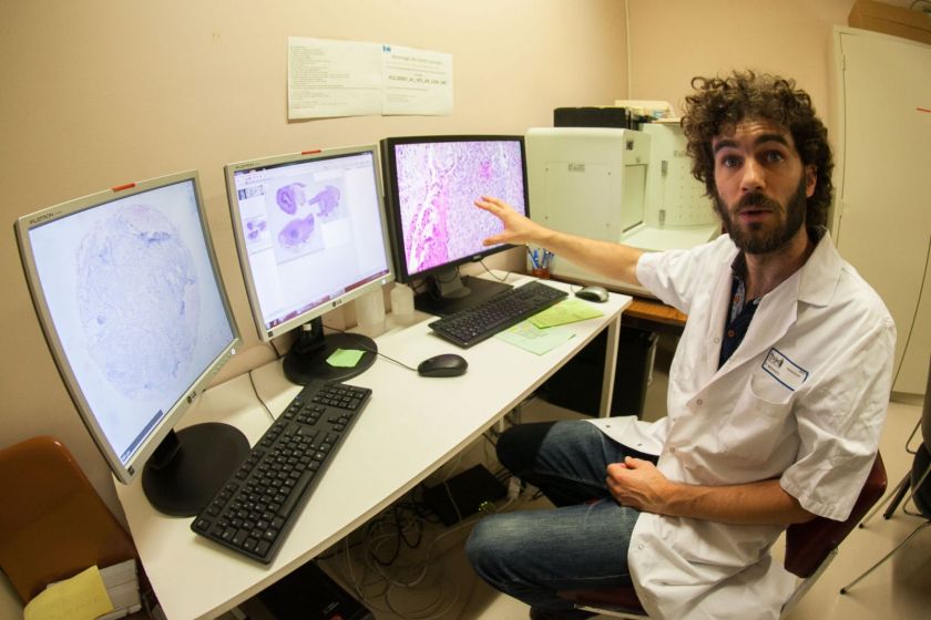 Franck Monnien montre trois écrans sur lesquels on voit des coupes histologiques.