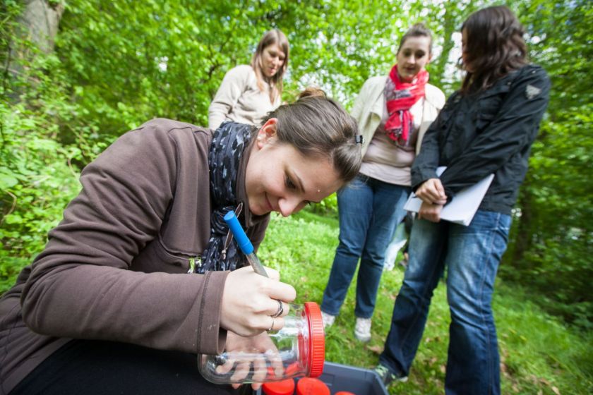 Dans la nature : une jeune fille marque un bocal avec un stylo. Trois autres sont debout à côté avec des carnets de notes.