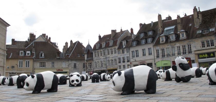 De nombreuses scultpures de panda place de la révolution à Besançon