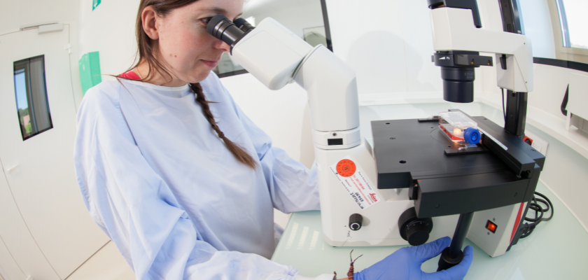 Une jeune femme qui regarde dans un microscope.