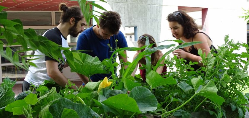 La MéMO met le campus de Montbéliard au vert!