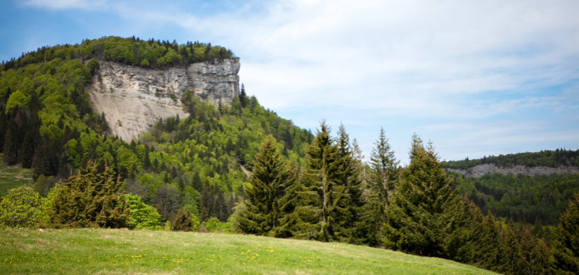 Vue d'une falaise dans le Jura