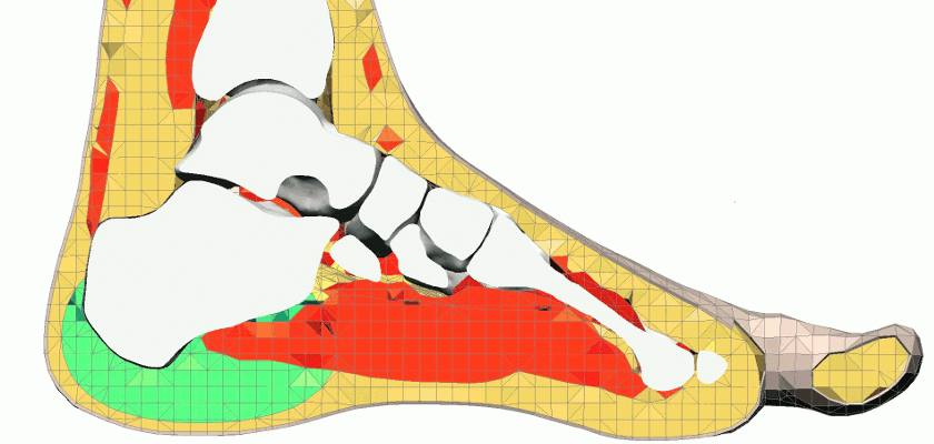 Modélisation d'un pied