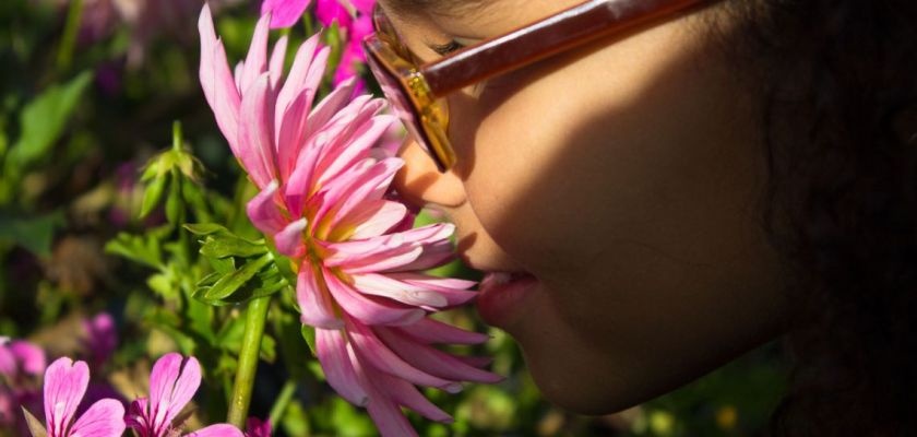 Une petite fille renifle une fleur