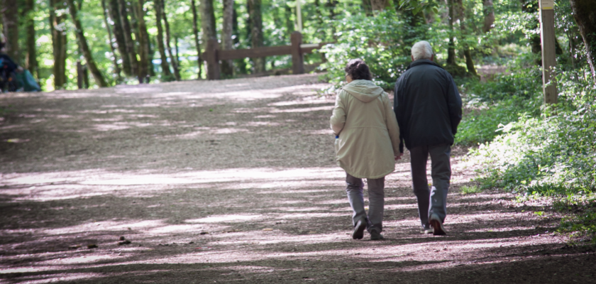 Un couple aux cheveux blancs de dos qui se promène dans un bois