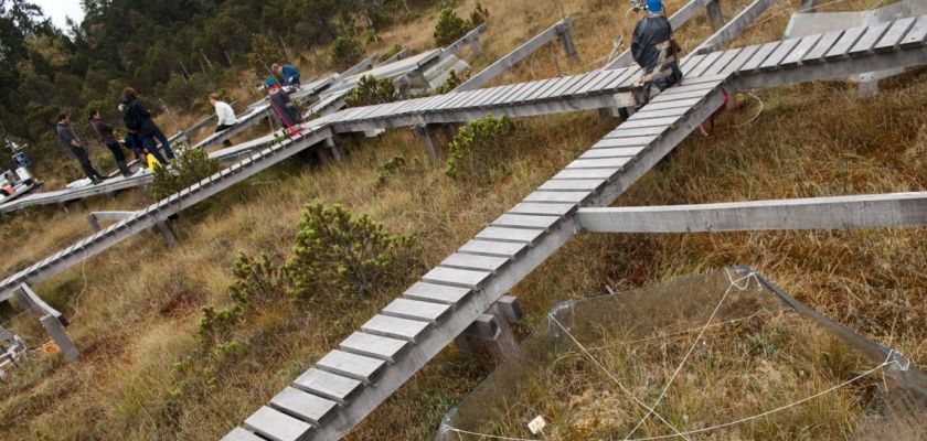 Une équipe de chercheurs de Chrono-environnement à la tourbière de Frasne