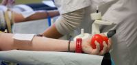 Photo du bras d&#039;un étudiant en train de donner son sang
