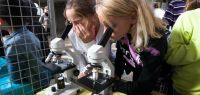 Deux fillettes regardent dans un microscope