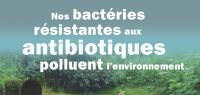 Affiche conférence bactéries