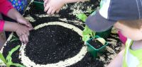 Des enfants apprennent à jardiner