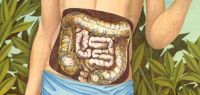 Illustration représentant un jeune homme debout avec les intestins en transparence.