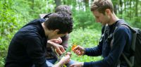 Trois étudiants dans la forêt s'activent et prennent des mesures.