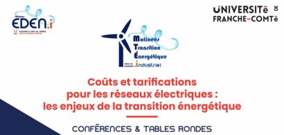 Coûts et tarifications pour les réseaux électriques : les enjeux de la transition énergétique | 22 novembre 2024