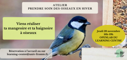 mésange sur une mangeoire à oiseaux
