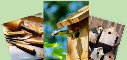 outils, nichoirs et mésange, atelier construction de nichoirs au learning centre jeudi 13 mars 16h-19h gratuit sur inscription à l'accueil ou sophie.courvoisier@univ-fcomte.fr