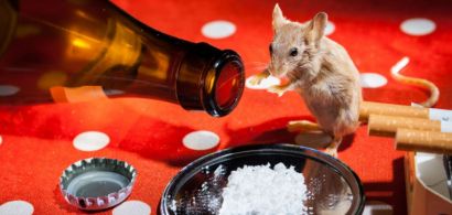 Une souris devant une bouteille de bière, des cigarettes et un miroire recouvert de poudre blanche.