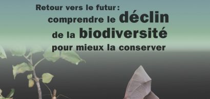 Affiche conférence biodiversité