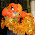 Marionnette - costume de dragon du nouvel an chinois